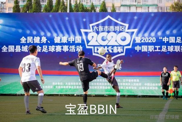 宝盈BBIN公司简介展示图